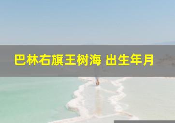 巴林右旗王树海 出生年月